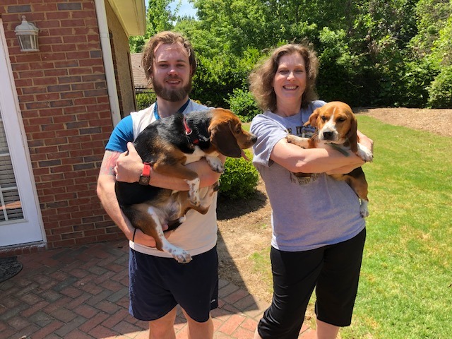 Family beagles